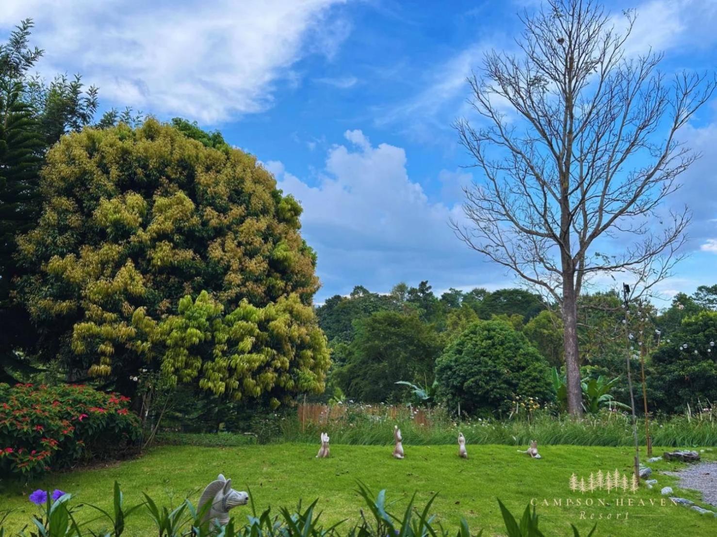 Campson Heaven Resort 考科 外观 照片